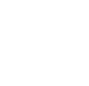 Section Paw