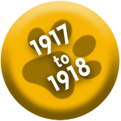 1917 1918 Button