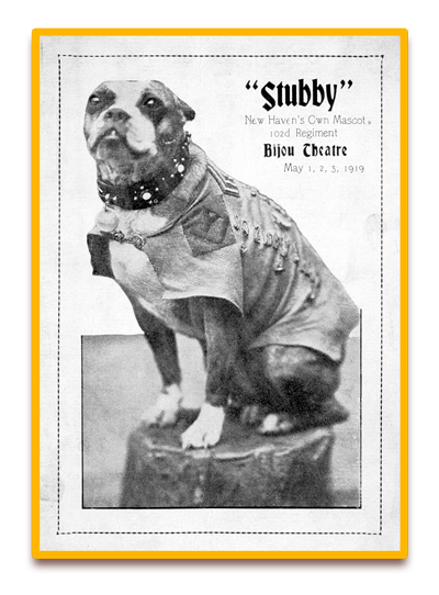 Stubby as New Haven, CT Mascot