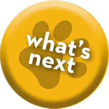 Button - Whats Next